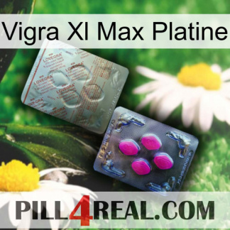 Vigra Xl Max Platinum 38